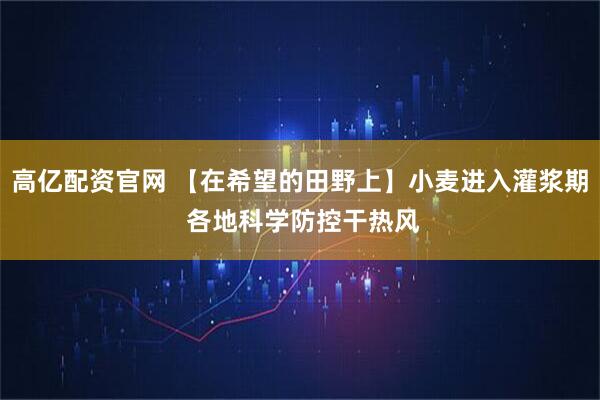 高亿配资官网 【在希望的田野上】小麦进入灌浆期 各地科学防控干热风